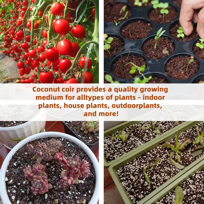 🔥LAST DAY 49% OFF🌱Premium Organic Coconut Coir Bricks for Plants